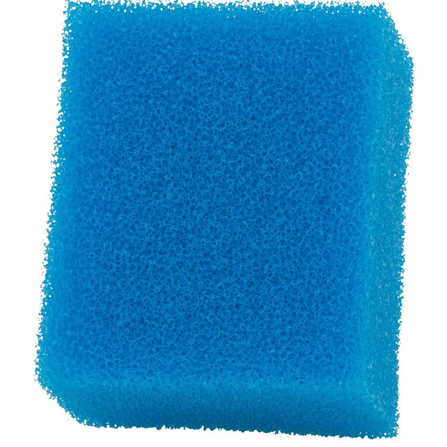 AC 20 Bio-Foam Insert