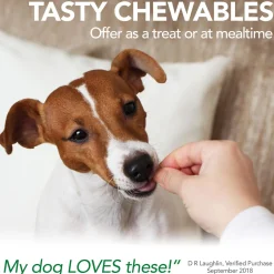 Aches + Pains Dog Supplement