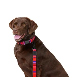 Adjustable Red Stripe Dog Collar