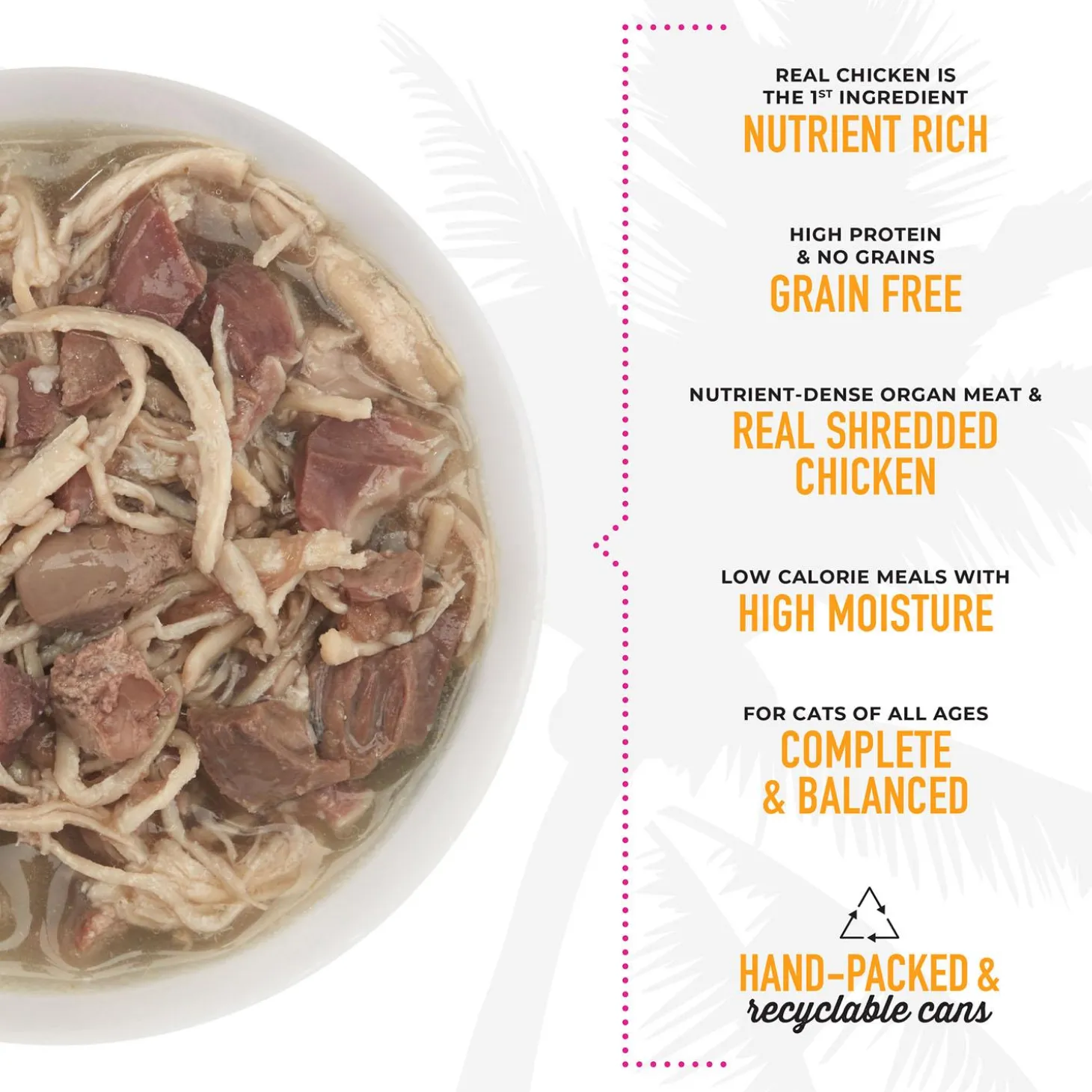 After Dark Chicken & Lamb Recipe in Broth Cat Food