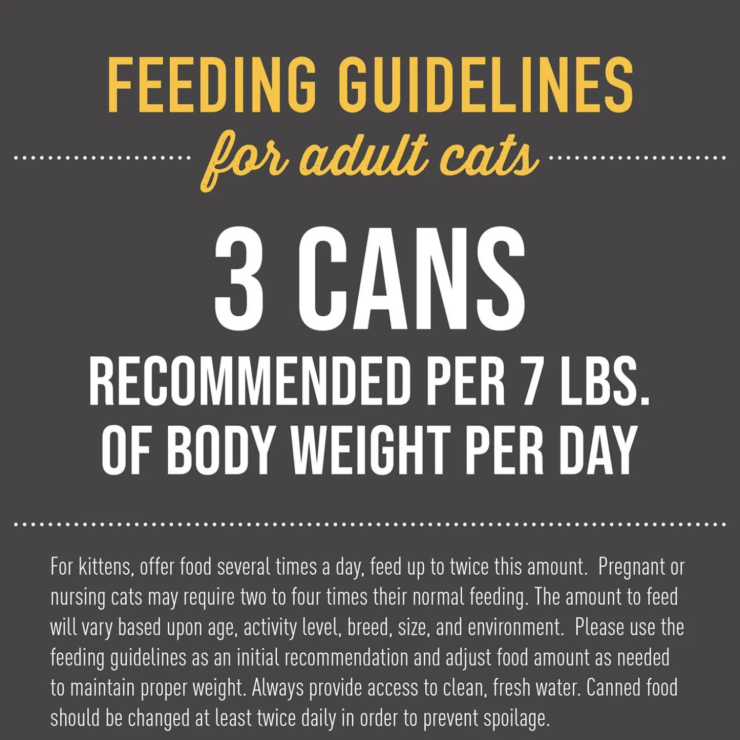 After Dark Chicken Recipe in Broth Cat Food