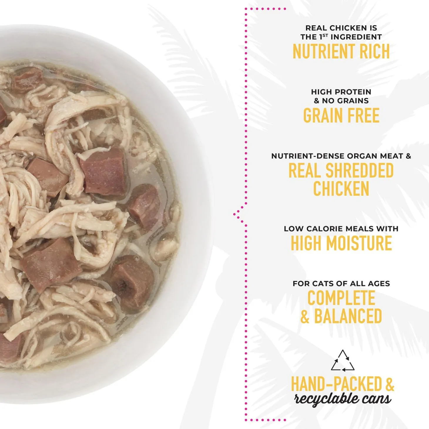After Dark Chicken Recipe in Broth Cat Food