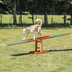 Agility Seesaw