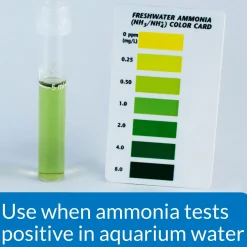 Ammo Lock