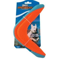 Amphibious Boomerang in Assorted Colours Dog Toy