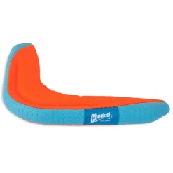 Amphibious Boomerang in Assorted Colours Dog Toy
