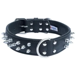 Amsterdam Dog Collar Leather Spiked Midnight Black
