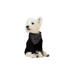 Astrological Grey Bandana