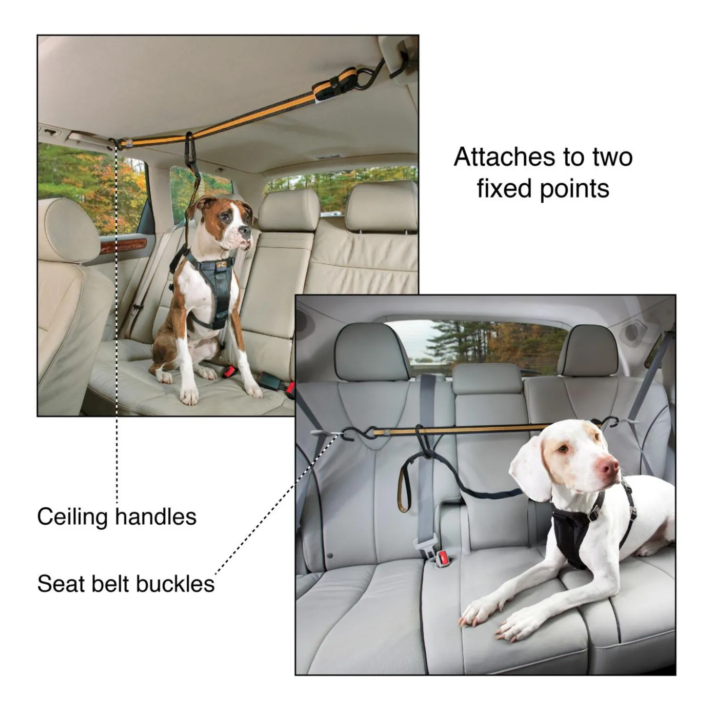 Auto Zip Line With Leash