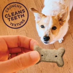 Bac'N'Cheez Small Dog Treats