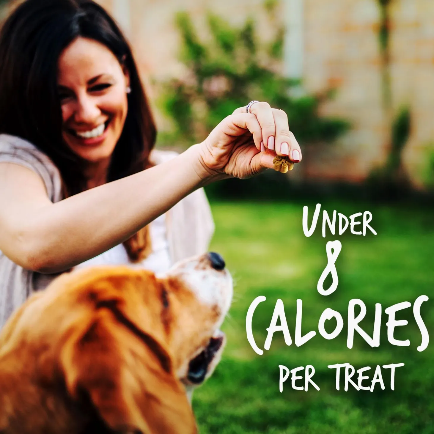 Baked Crispy Bacon & Apple Flavour Dog Treats