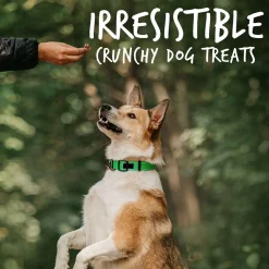 Baked Pumpkin & Apple Flavour Dog Treats