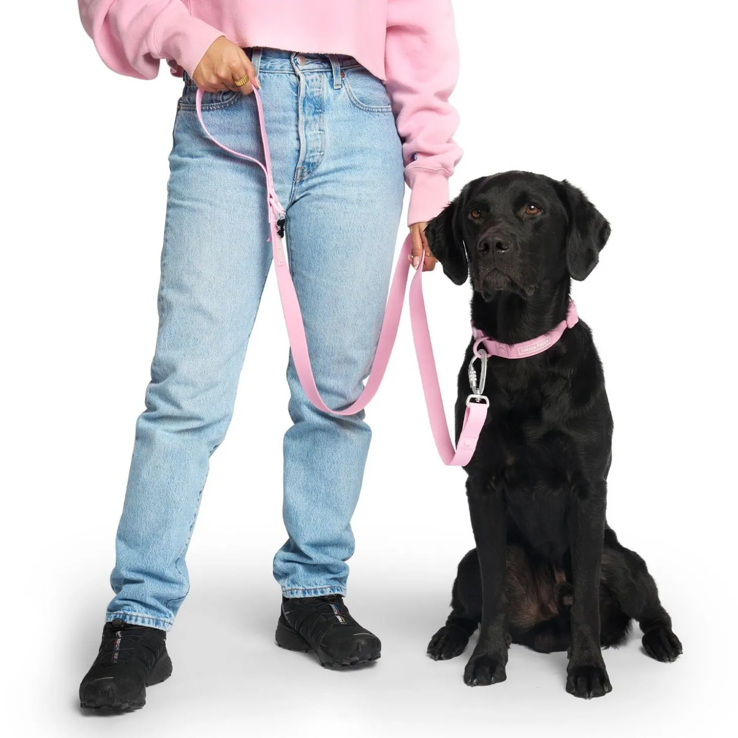 Barbie Waterproof Pink Dog Leash