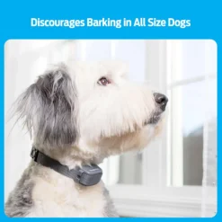 Bark Dog Collar