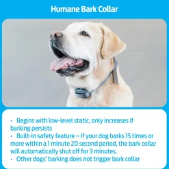 Bark Dog Collar