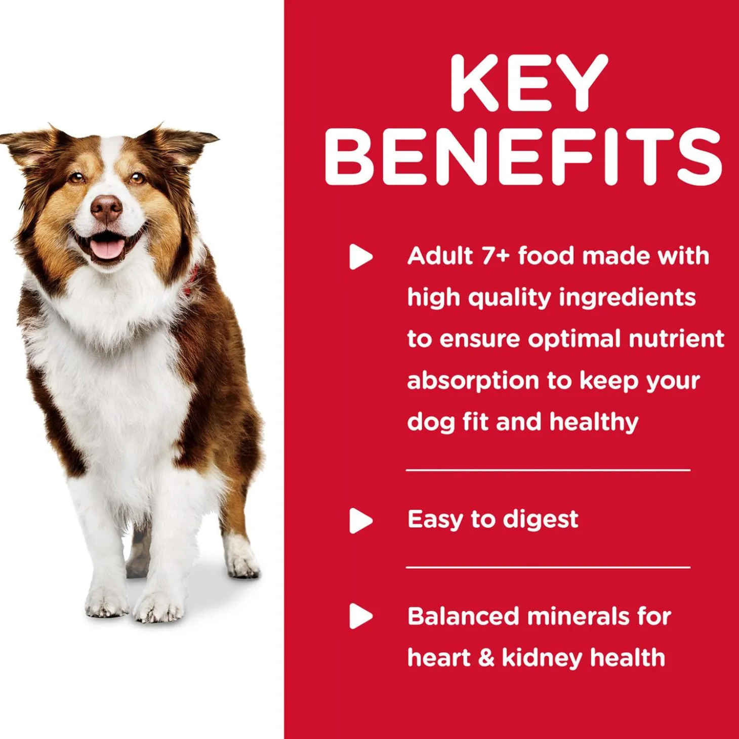 Beef & Barley Entree Adult 7+ Dog Food
