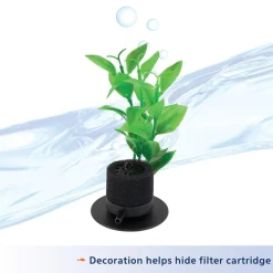 Betta Filter with Natural Plant