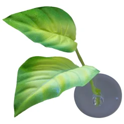 Betta Leaf