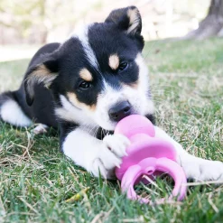 Binkie Assorted Colours Puppy Dog Toy