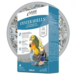 Bird Oyster Shell