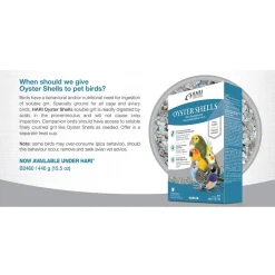 Bird Oyster Shell