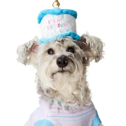 Birthday Cake Hat