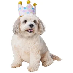 Birthday Crown Hat