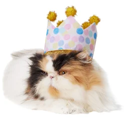 Birthday Crown Hat