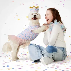 Birthday Crown Hat