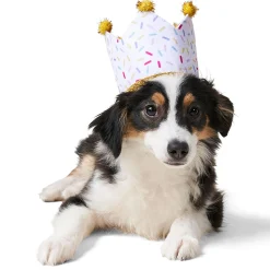 Birthday Girl Hat