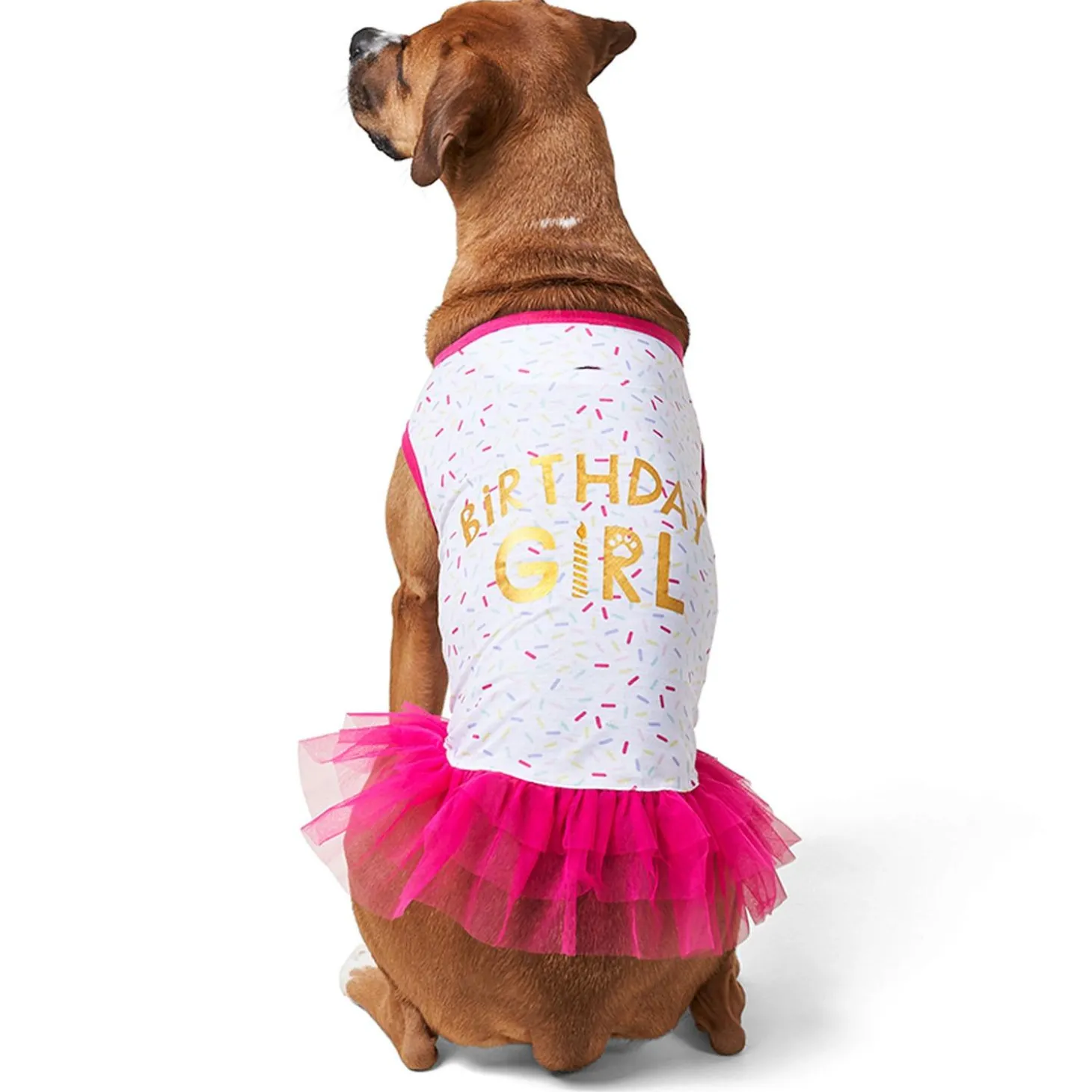 Birthday Girl Tank with Tutu