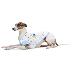 Birthday Graphic T-Shirt