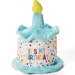 Birthday Hat