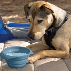 Blue Collaps-A-Bowl