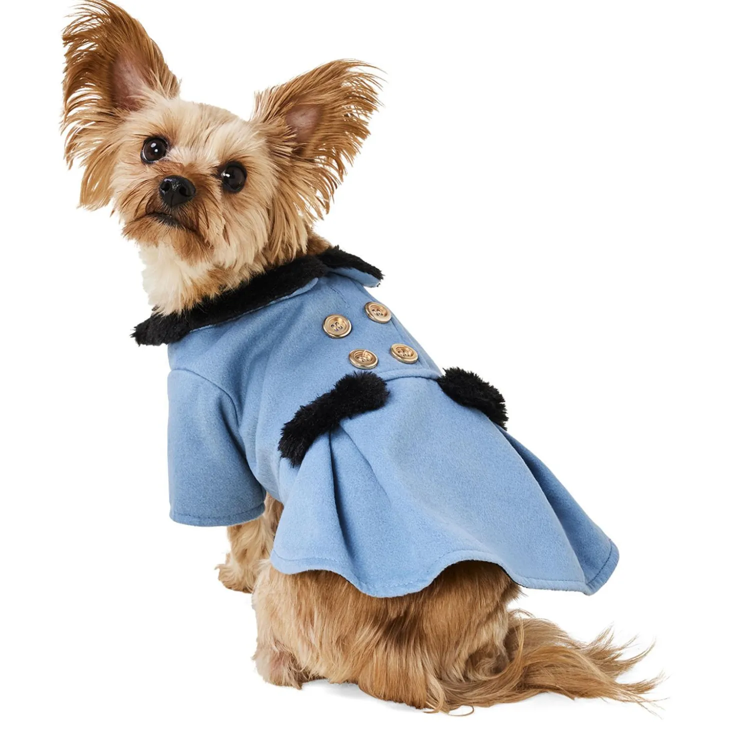 Blue Peacoat