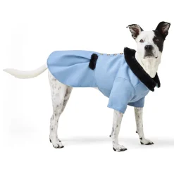 Blue Peacoat