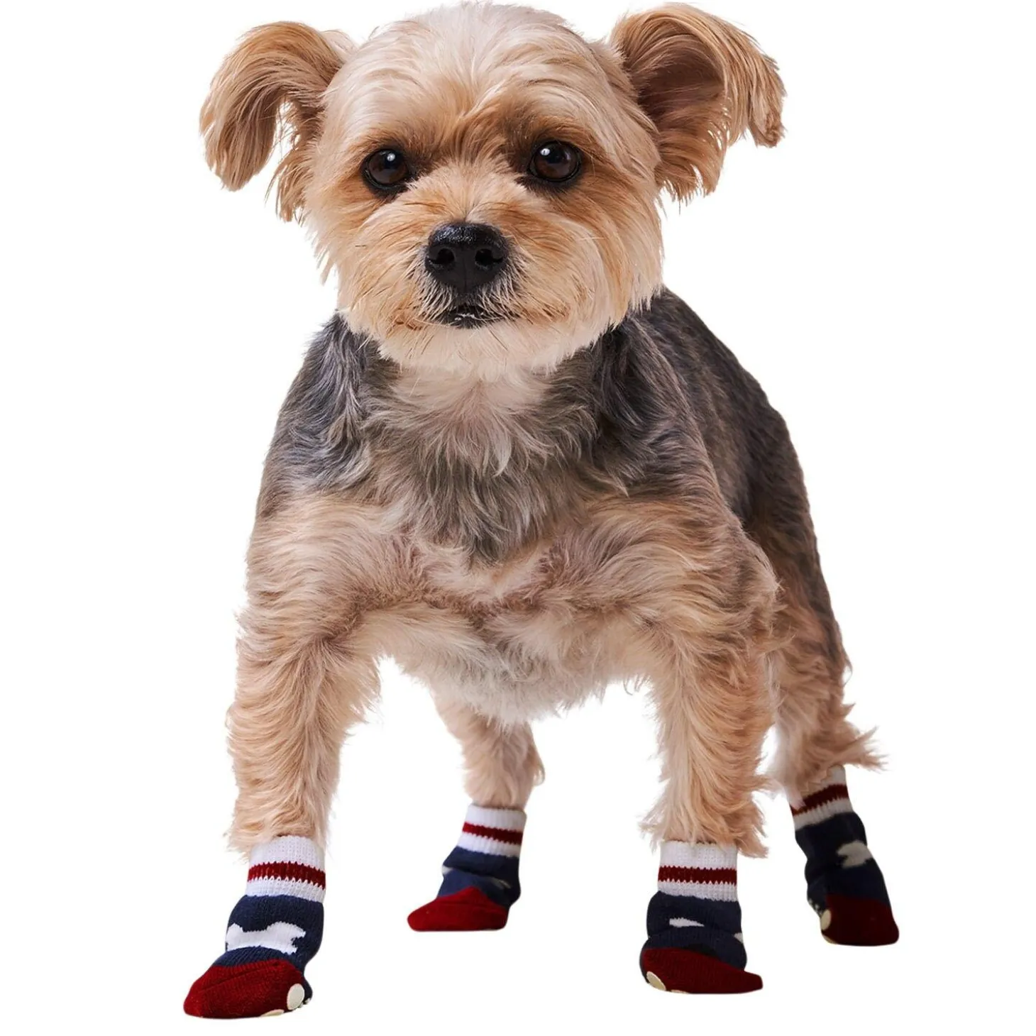 Bone Bow Navy Socks
