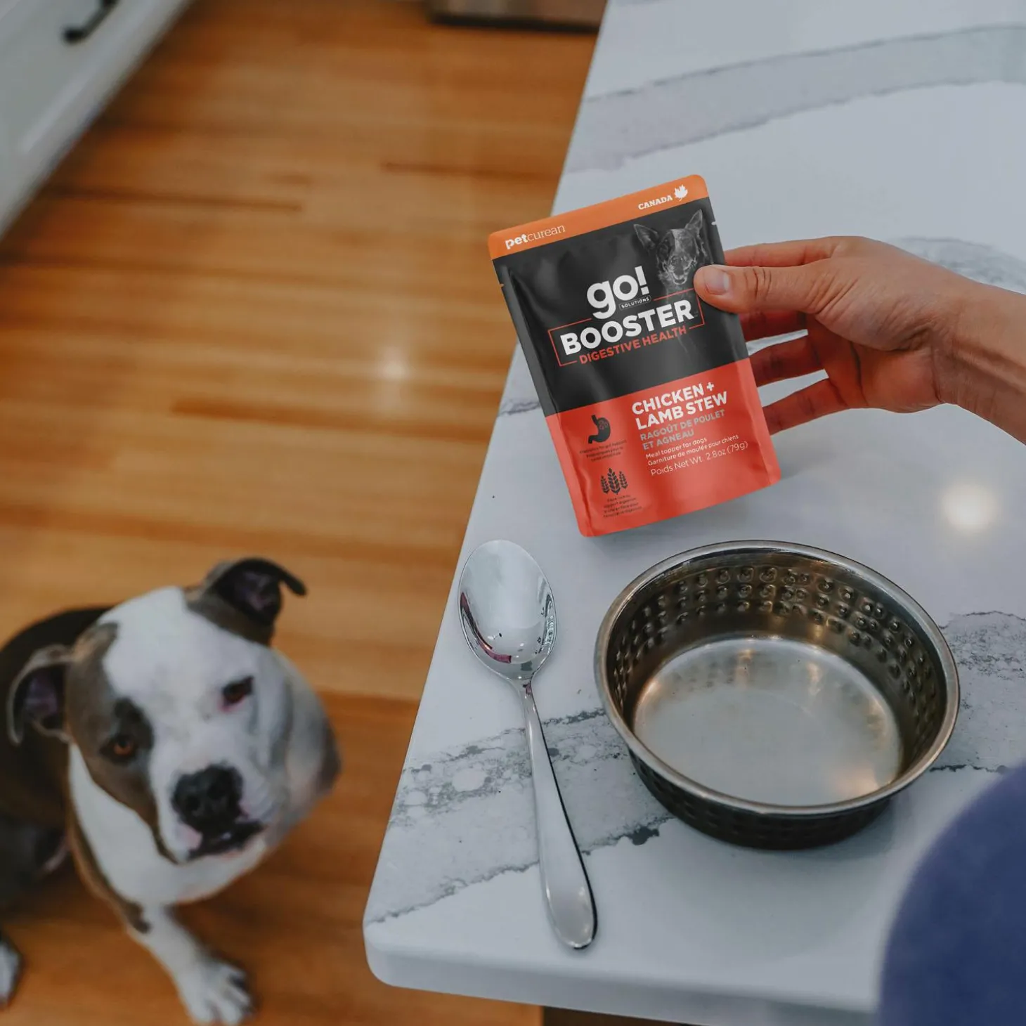 Booster Digestive Health Chicken + Lamb Stew Dog Food Topper