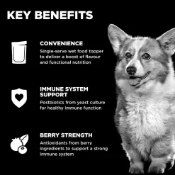 Booster Immune Health Shredded Chicken + Salmon Recipe in Broth Dog Food Topper