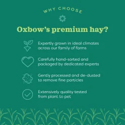 Botanical Hay for Small Animals
