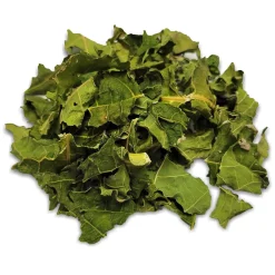 Botanicals Dried Papaya Leaf Small Animal Treats