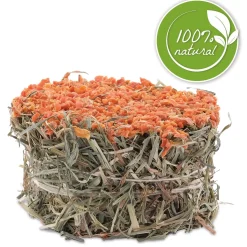 Botanicals Hay Cake with Carrots for Small Animals
