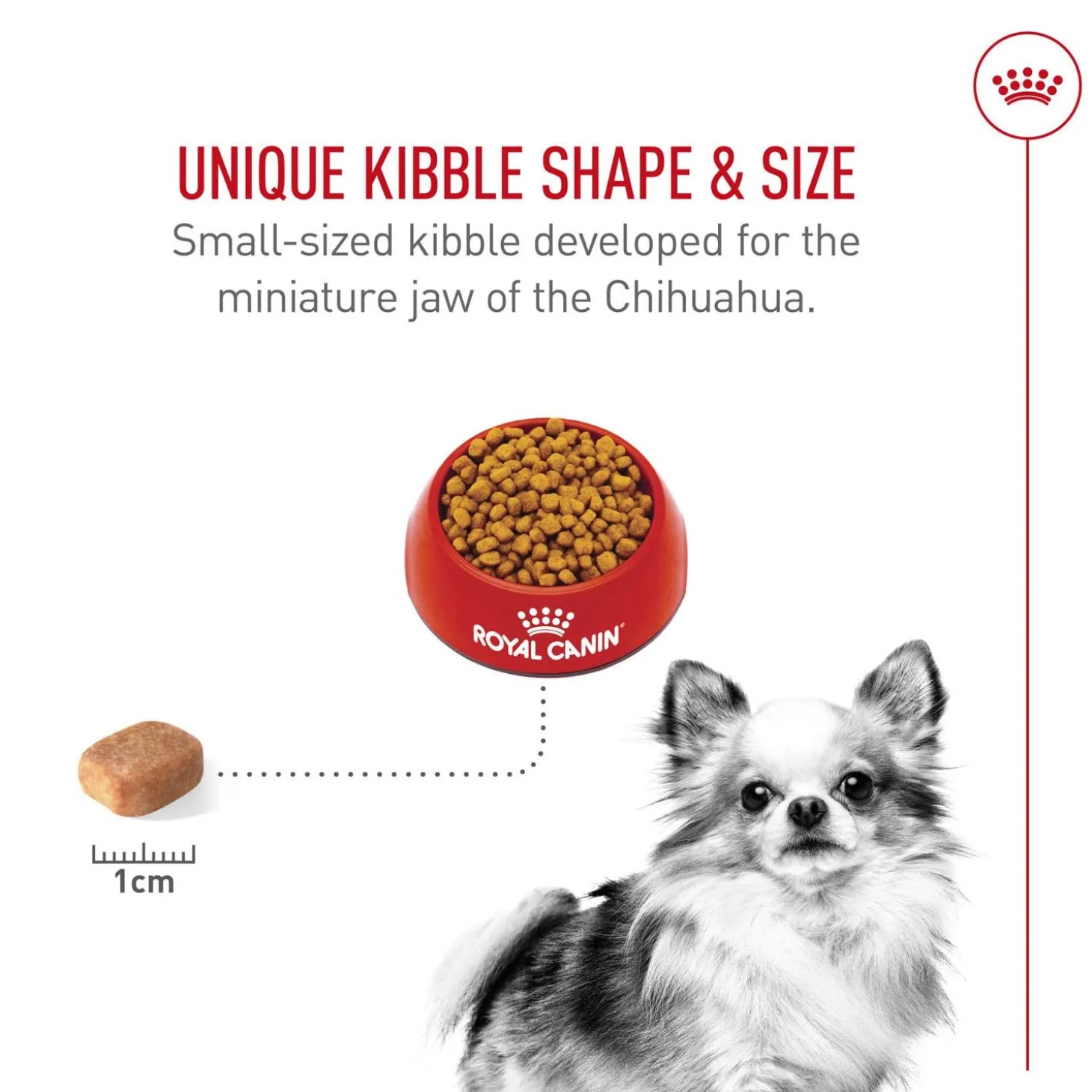 Breed Health Nutrition Chihuahua Adult Dog Food