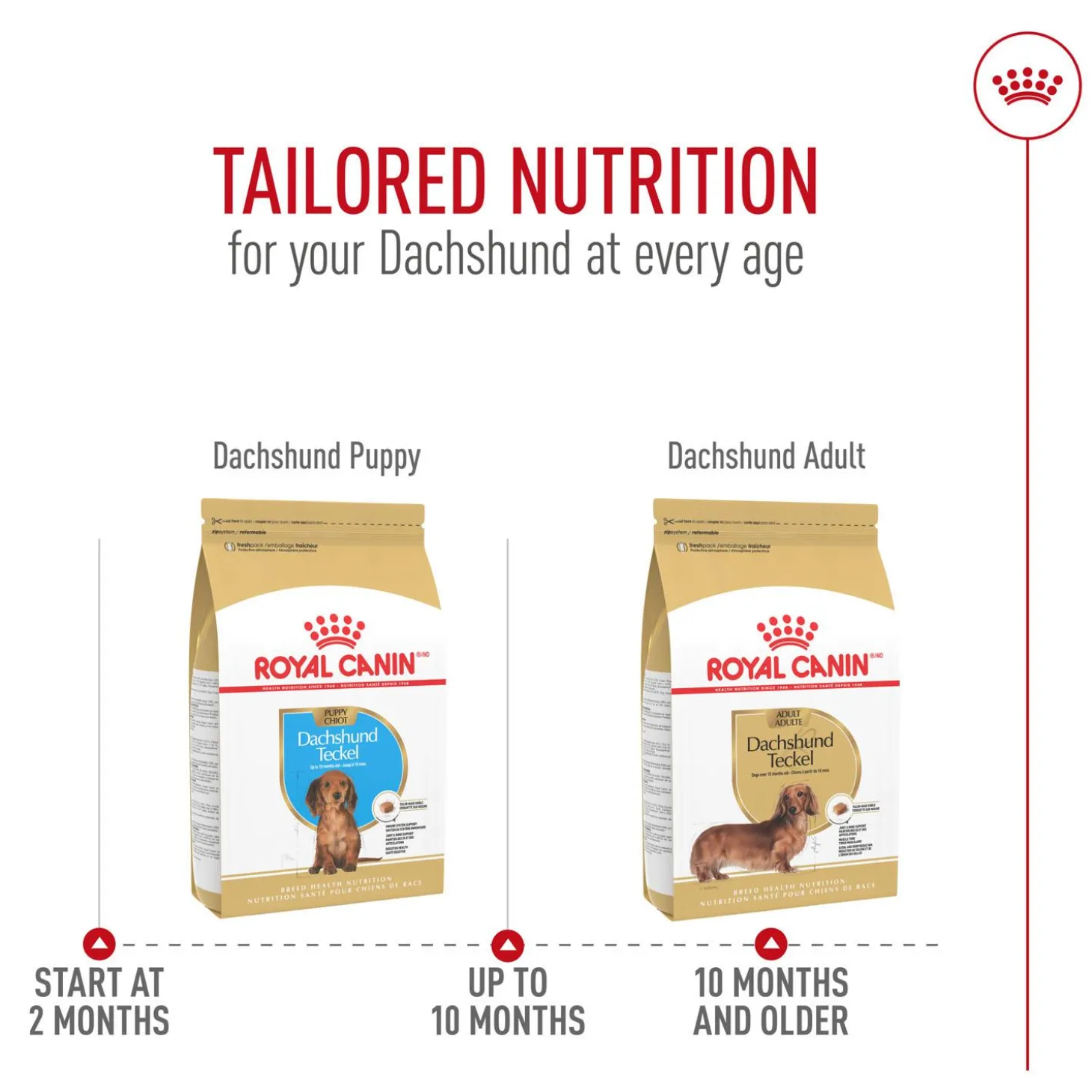 Breed Health Nutrition Dachshund Adult Dog Food