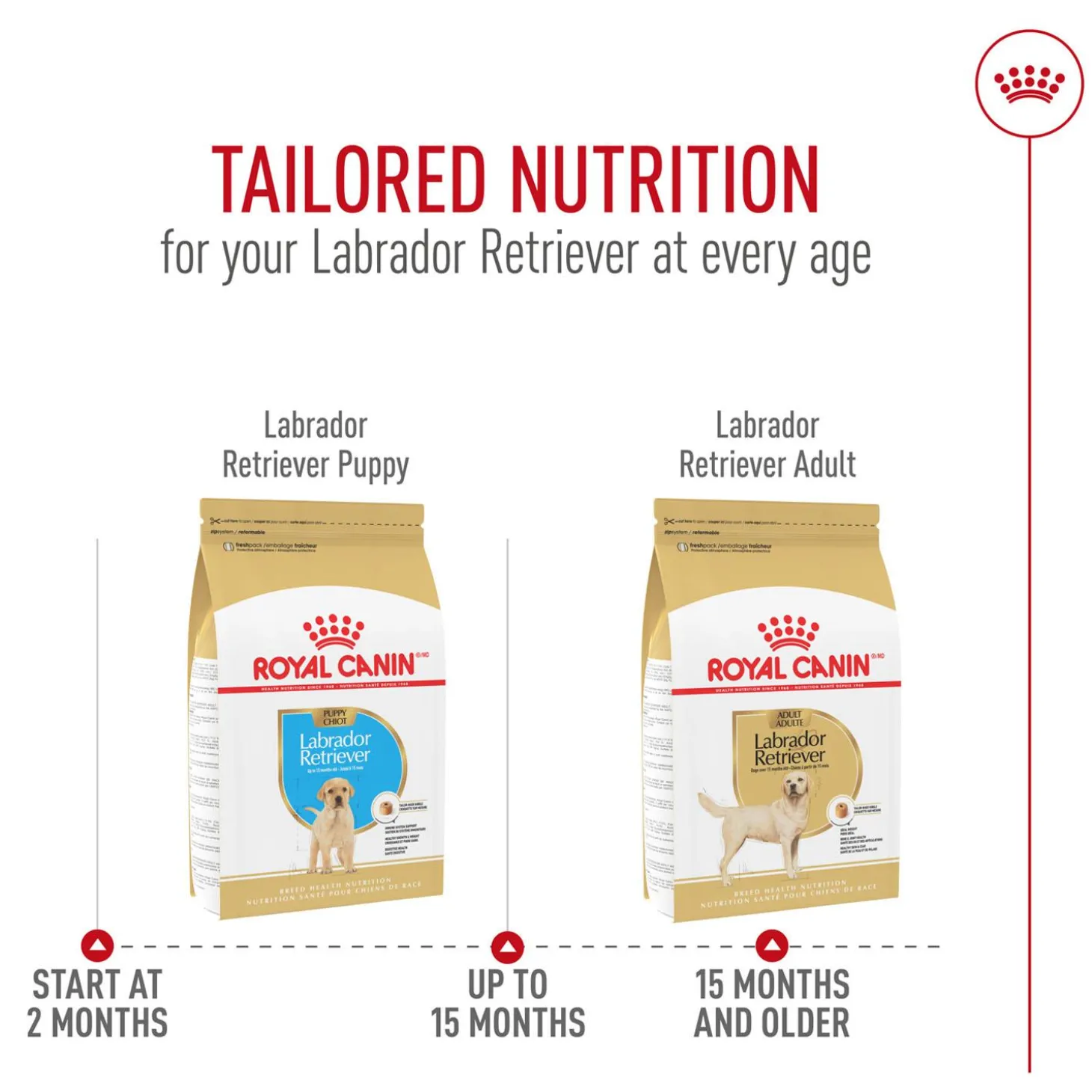 Breed Health Nutrition Labrador Retriever Adult Dog Food