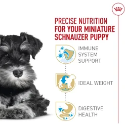 Breed Health Nutrition Miniature Schnauzer Puppy Dog Food