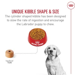 Breed Health Nutrition Puppy Labrador Retriever Dog Food