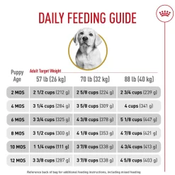 Breed Health Nutrition Puppy Labrador Retriever Dog Food