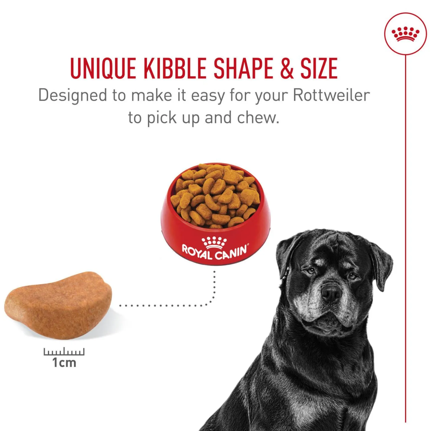 Breed Health Nutrition Rottweiler Adult Dog Food