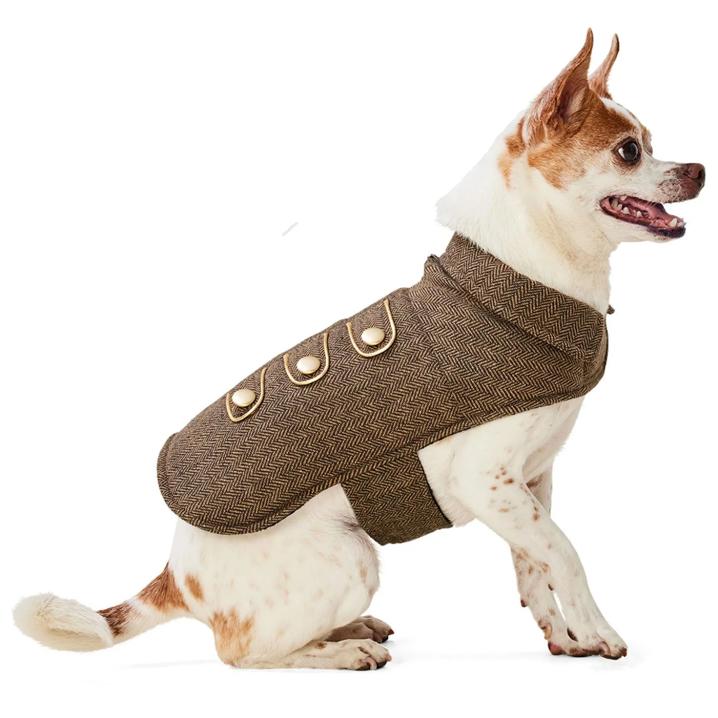 Brown Tweed Coat